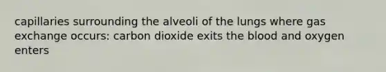 capillaries surrounding the alveoli of the lungs where <a href='https://www.questionai.com/knowledge/kU8LNOksTA-gas-exchange' class='anchor-knowledge'>gas exchange</a> occurs: carbon dioxide exits <a href='https://www.questionai.com/knowledge/k7oXMfj7lk-the-blood' class='anchor-knowledge'>the blood</a> and oxygen enters