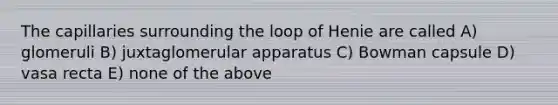 The capillaries surrounding the loop of Henie are called A) glomeruli B) juxtaglomerular apparatus C) Bowman capsule D) vasa recta E) none of the above