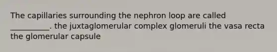 The capillaries surrounding the nephron loop are called __________. the juxtaglomerular complex glomeruli the vasa recta the glomerular capsule