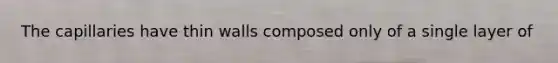 The capillaries have thin walls composed only of a single layer of