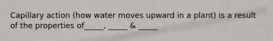 Capillary action (how water moves upward in a plant) is a result of the properties of_____, _____ & _____