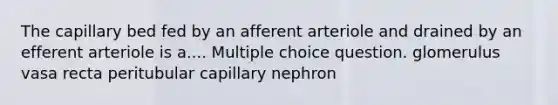 The capillary bed fed by an afferent arteriole and drained by an efferent arteriole is a.... Multiple choice question. glomerulus vasa recta peritubular capillary nephron