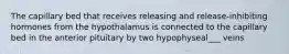 The capillary bed that receives releasing and release-inhibiting hormones from the hypothalamus is connected to the capillary bed in the anterior pituitary by two hypophyseal___ veins