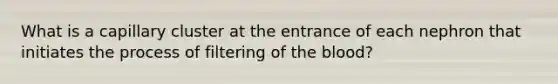 What is a capillary cluster at the entrance of each nephron that initiates the process of filtering of the blood?