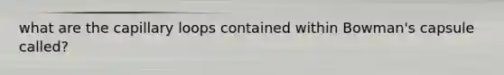 what are the capillary loops contained within Bowman's capsule called?