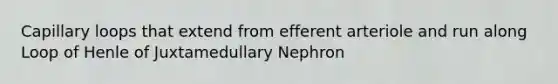 Capillary loops that extend from efferent arteriole and run along Loop of Henle of Juxtamedullary Nephron