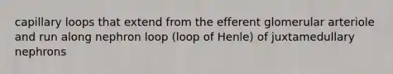 capillary loops that extend from the efferent glomerular arteriole and run along nephron loop (loop of Henle) of juxtamedullary nephrons