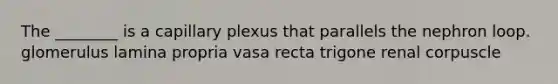 The ________ is a capillary plexus that parallels the nephron loop. glomerulus lamina propria vasa recta trigone renal corpuscle