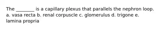 The ________ is a capillary plexus that parallels the nephron loop. a. vasa recta b. renal corpuscle c. glomerulus d. trigone e. lamina propria