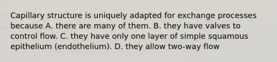 Capillary structure is uniquely adapted for exchange processes because A. there are many of them. B. they have valves to control flow. C. they have only one layer of simple squamous epithelium (endothelium). D. they allow two-way flow