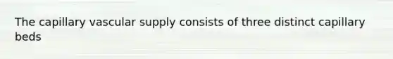 The capillary vascular supply consists of three distinct capillary beds