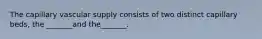 The capillary vascular supply consists of two distinct capillary beds, the _______and the_______.