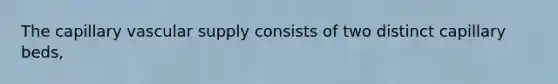 The capillary vascular supply consists of two distinct capillary beds,