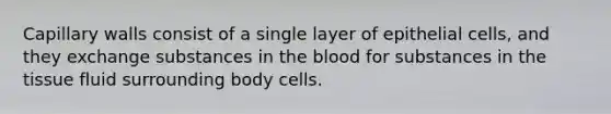 Capillary walls consist of a single layer of epithelial cells, and they exchange substances in the blood for substances in the tissue fluid surrounding body cells.