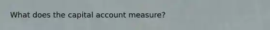 What does the capital account measure?