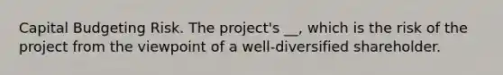 Capital Budgeting Risk. The project's __, which is the risk of the project from the viewpoint of a well-diversified shareholder.