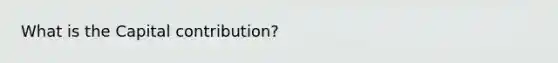 What is the Capital contribution?