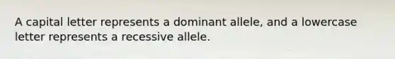 A capital letter represents a dominant allele, and a lowercase letter represents a recessive allele.