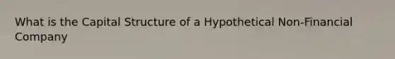 What is the Capital Structure of a Hypothetical Non-Financial Company