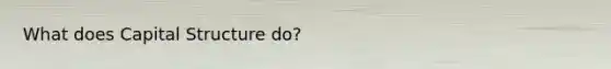 What does Capital Structure do?