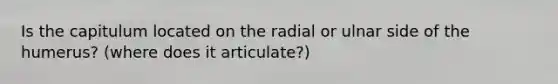 Is the capitulum located on the radial or ulnar side of the humerus? (where does it articulate?)