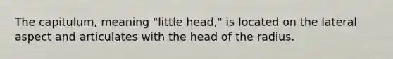 The capitulum, meaning "little head," is located on the lateral aspect and articulates with the head of the radius.