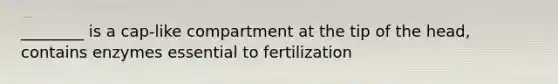 ________ is a cap-like compartment at the tip of the head, contains enzymes essential to fertilization