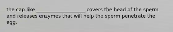 the cap-like ____________________ covers the head of the sperm and releases enzymes that will help the sperm penetrate the egg.