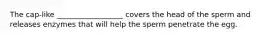 The cap-like __________________ covers the head of the sperm and releases enzymes that will help the sperm penetrate the egg.