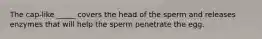 The cap-like _____ covers the head of the sperm and releases enzymes that will help the sperm penetrate the egg.