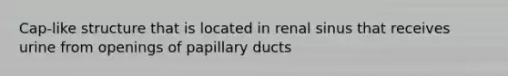 Cap-like structure that is located in renal sinus that receives urine from openings of papillary ducts