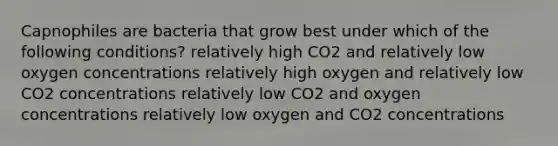 Capnophiles are bacteria that grow best under which of the following conditions? relatively high CO2 and relatively low oxygen concentrations relatively high oxygen and relatively low CO2 concentrations relatively low CO2 and oxygen concentrations relatively low oxygen and CO2 concentrations