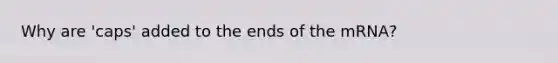 Why are 'caps' added to the ends of the mRNA?