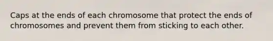 Caps at the ends of each chromosome that protect the ends of chromosomes and prevent them from sticking to each other.