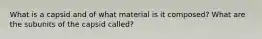 What is a capsid and of what material is it composed? What are the subunits of the capsid called?