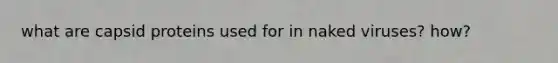 what are capsid proteins used for in naked viruses? how?