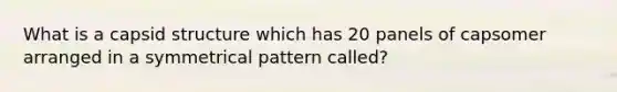 What is a capsid structure which has 20 panels of capsomer arranged in a symmetrical pattern called?