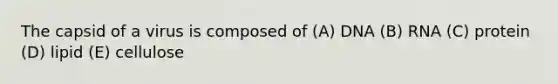 The capsid of a virus is composed of (A) DNA (B) RNA (C) protein (D) lipid (E) cellulose