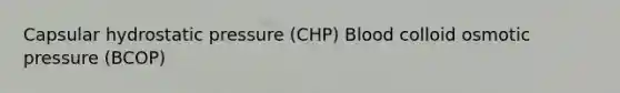 Capsular hydrostatic pressure (CHP) Blood colloid osmotic pressure (BCOP)