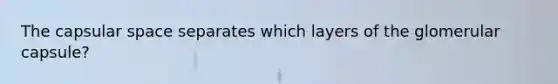 The capsular space separates which layers of the glomerular capsule?
