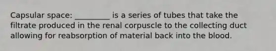 Capsular space: _________ is a series of tubes that take the filtrate produced in the renal corpuscle to the collecting duct allowing for reabsorption of material back into the blood.