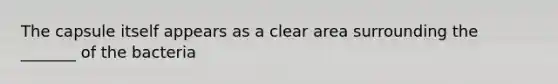 The capsule itself appears as a clear area surrounding the _______ of the bacteria