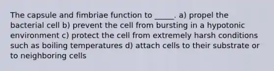 The capsule and fimbriae function to _____. a) propel the bacterial cell b) prevent the cell from bursting in a hypotonic environment c) protect the cell from extremely harsh conditions such as boiling temperatures d) attach cells to their substrate or to neighboring cells