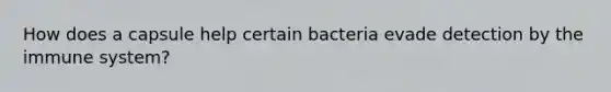 How does a capsule help certain bacteria evade detection by the immune system?