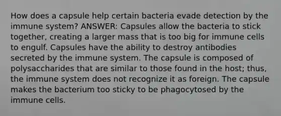 How does a capsule help certain bacteria evade detection by the immune system? ANSWER: Capsules allow the bacteria to stick together, creating a larger mass that is too big for immune cells to engulf. Capsules have the ability to destroy antibodies secreted by the immune system. The capsule is composed of polysaccharides that are similar to those found in the host; thus, the immune system does not recognize it as foreign. The capsule makes the bacterium too sticky to be phagocytosed by the immune cells.