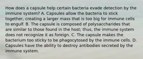 How does a capsule help certain bacteria evade detection by the immune system? A. Capsules allow the bacteria to stick together, creating a larger mass that is too big for immune cells to engulf. B. The capsule is composed of polysaccharides that are similar to those found in the host; thus, the immune system does not recognize it as foreign. C. The capsule makes the bacterium too sticky to be phagocytosed by the immune cells. D. Capsules have the ability to destroy antibodies secreted by the immune system.