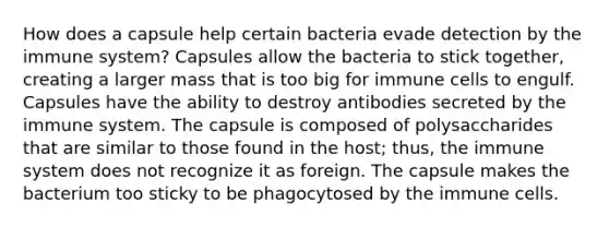 How does a capsule help certain bacteria evade detection by the immune system? Capsules allow the bacteria to stick together, creating a larger mass that is too big for immune cells to engulf. Capsules have the ability to destroy antibodies secreted by the immune system. The capsule is composed of polysaccharides that are similar to those found in the host; thus, the immune system does not recognize it as foreign. The capsule makes the bacterium too sticky to be phagocytosed by the immune cells.