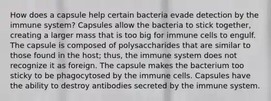 How does a capsule help certain bacteria evade detection by the immune system? Capsules allow the bacteria to stick together, creating a larger mass that is too big for immune cells to engulf. The capsule is composed of polysaccharides that are similar to those found in the host; thus, the immune system does not recognize it as foreign. The capsule makes the bacterium too sticky to be phagocytosed by the immune cells. Capsules have the ability to destroy antibodies secreted by the immune system.