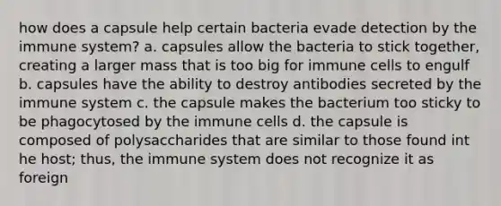 how does a capsule help certain bacteria evade detection by the immune system? a. capsules allow the bacteria to stick together, creating a larger mass that is too big for immune cells to engulf b. capsules have the ability to destroy antibodies secreted by the immune system c. the capsule makes the bacterium too sticky to be phagocytosed by the immune cells d. the capsule is composed of polysaccharides that are similar to those found int he host; thus, the immune system does not recognize it as foreign