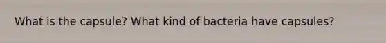 What is the capsule? What kind of bacteria have capsules?